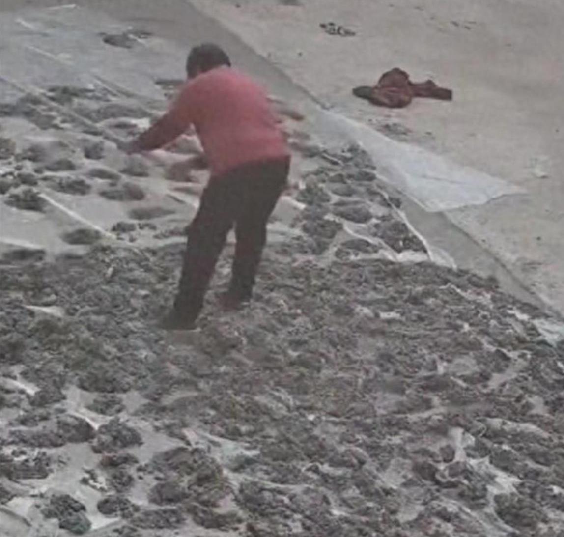 英超直播-80岁老太毁水泥地后续：损失超5000元，子女连夜返回，原因太离谱